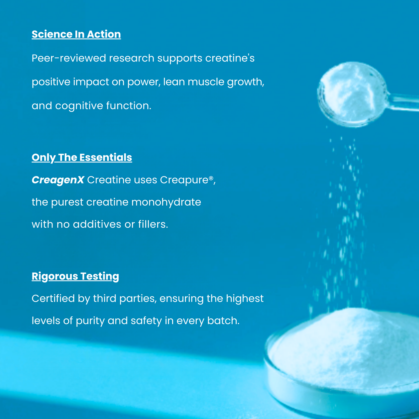 100% Pure Creatine Monohydrate - Micronized for Fast Absorption