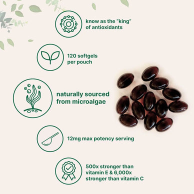 Embrace Life Fully, Thrive with Vibrant Health